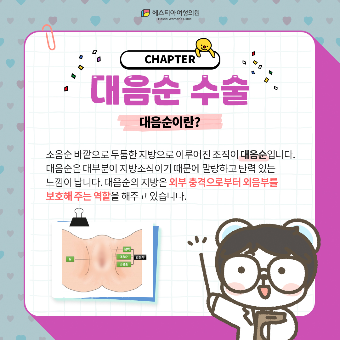 대음순이란?