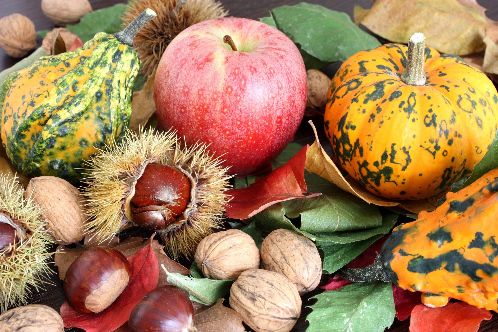 가을 제철 음식: 영양과 건강을 위한 맛있는 선택