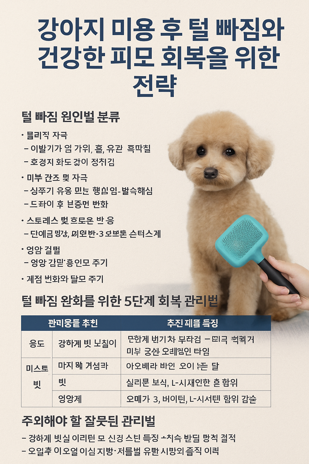 강아지 미용 후 털 빠짐 관리 사진