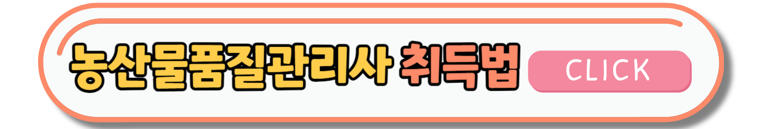 중장년 추천 자격증 BEST 5