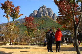 청송 주왕산 여행 코스 폭포 산책 주차 가을 단풍 포인트_8