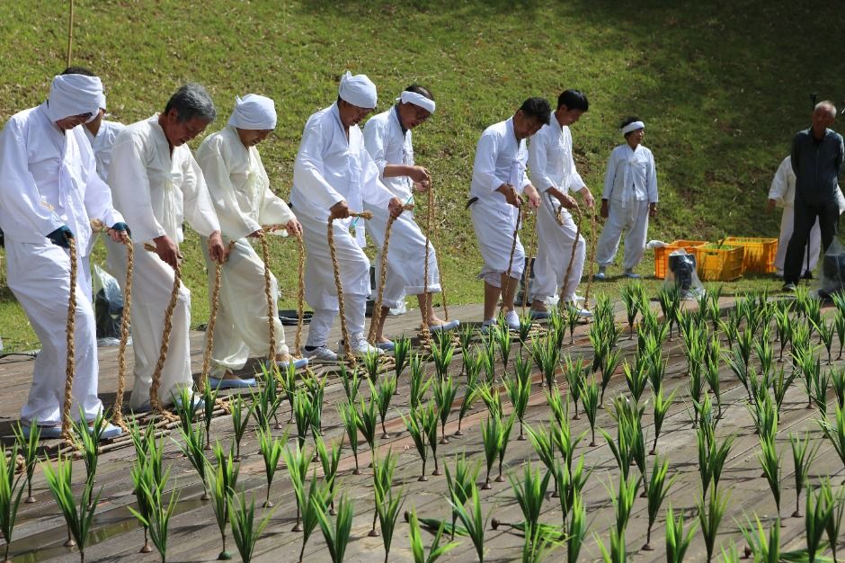 2025 담양 대나무축제 죽녹원 메타랜드