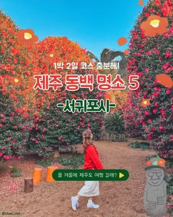 서귀포 가볼만한곳 베스트10 천지연폭포 정방폭포 야시장 산책_24