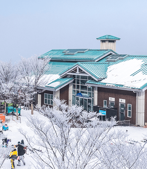 스키장 개장일정