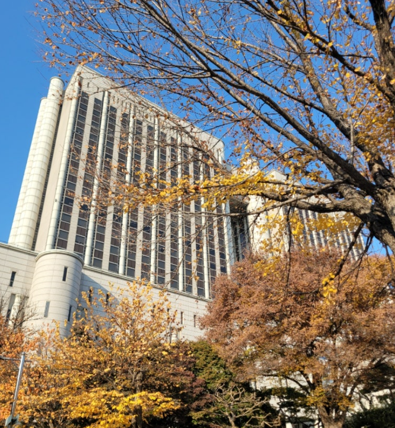 우울증 갤러리 성폭행 사건: 10대 피해자의 비극, 법의 심판은 충분할까?