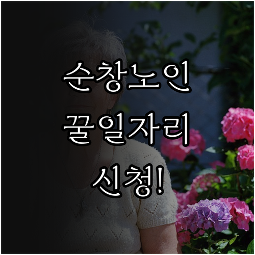 순창군 시니어클럽 공익활동형 시장형 ..