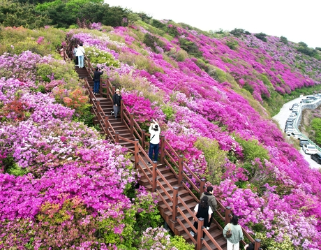 한우산 