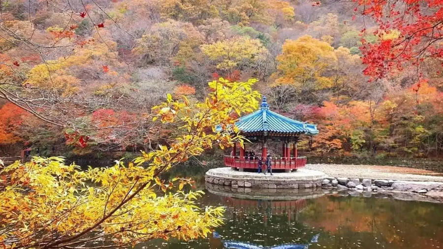 내장산 가을 단풍 여행 마무리