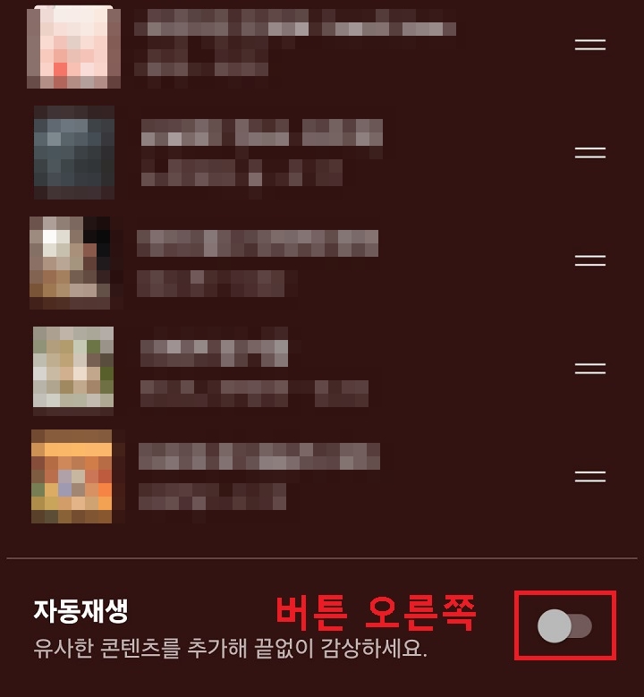 자동재생 버튼 보임