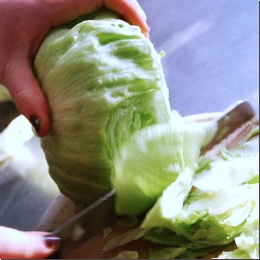 버터헤드레터스 먹는 법과 주의점