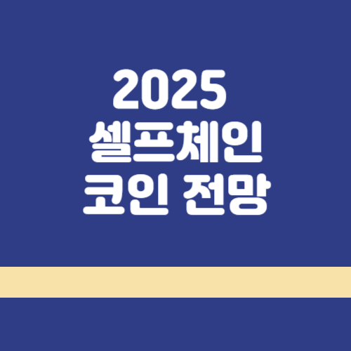 셀프체인코인 썸네일