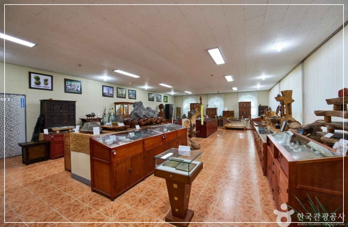 장흥 가볼만한곳 베스트10 귀족호도박물관