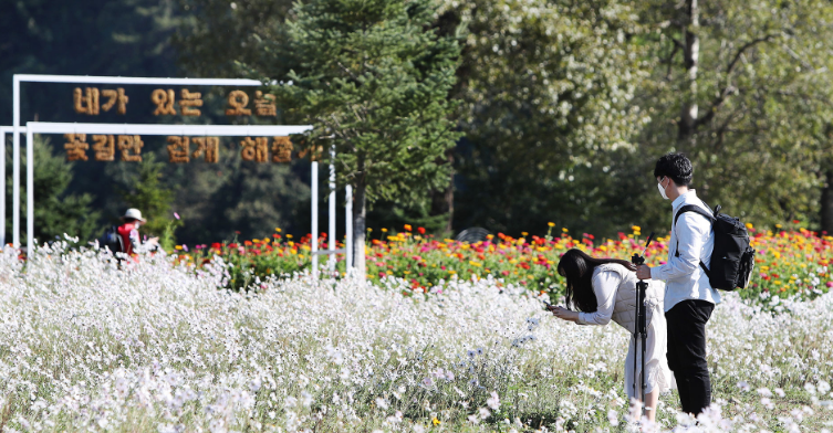 2024년 자라섬 꽃 페스타 일정