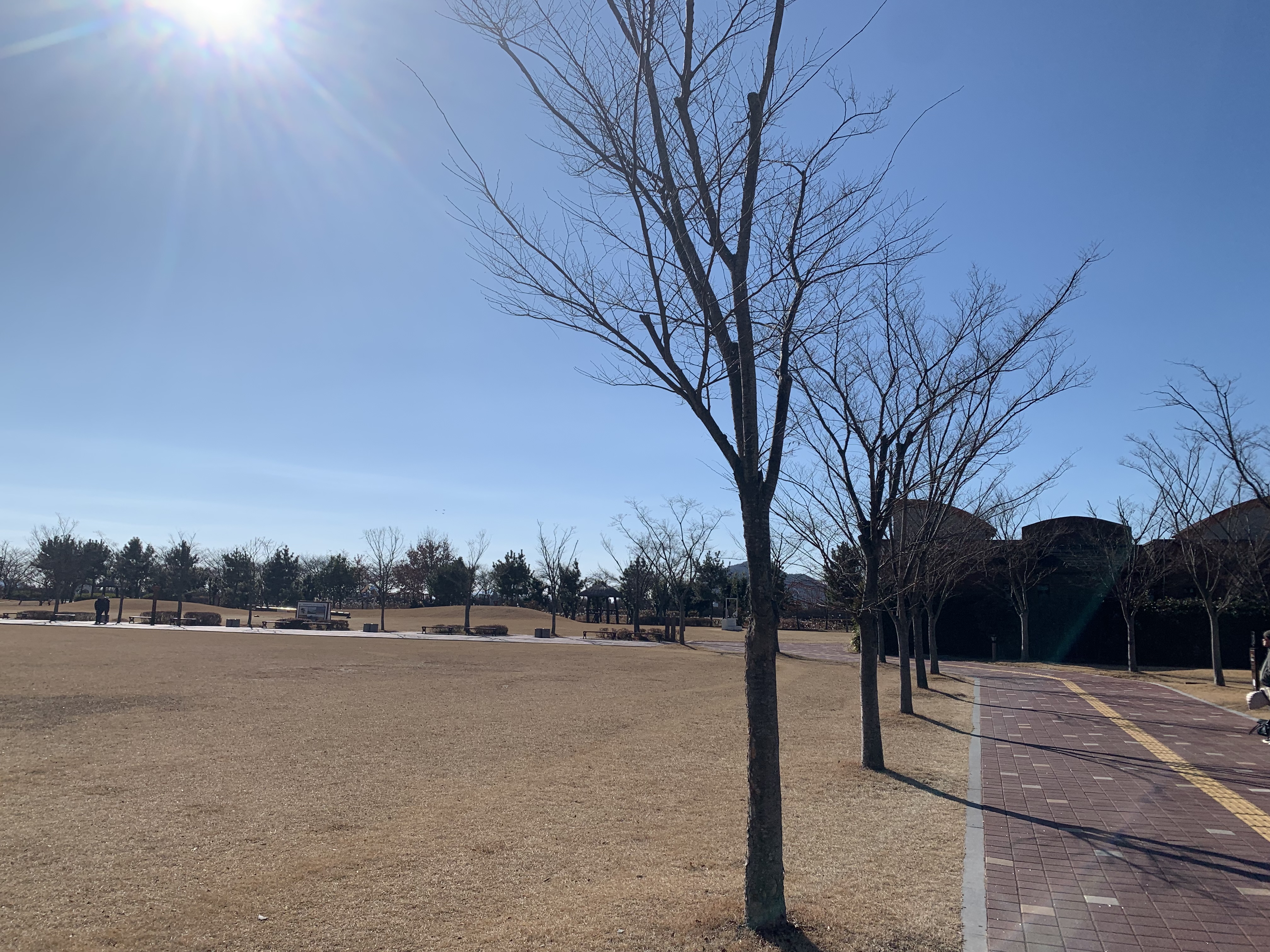 순천만습지 숨은 보석 관광지 힐링 포인트