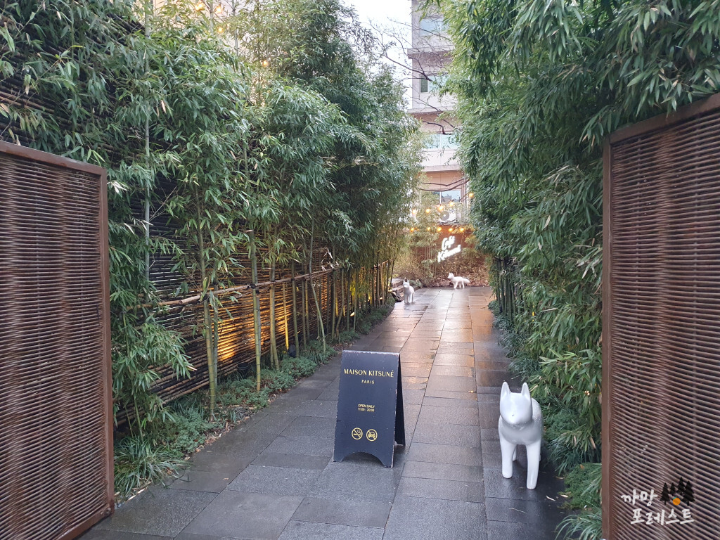 신사 메종 키츠네 입구