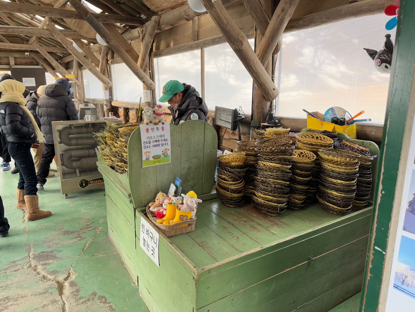 대관령 양떼목장