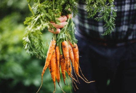 고혈압에 좋은 음식 10가지