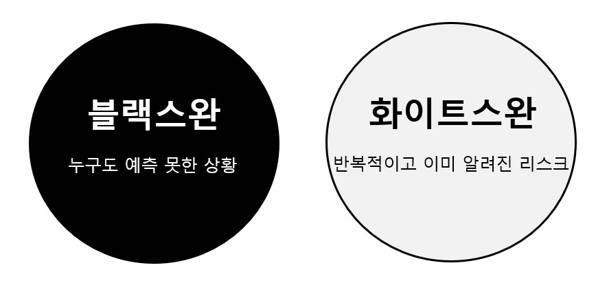 블랙스완과 화이트스완