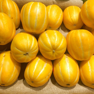 여름 과일 참외