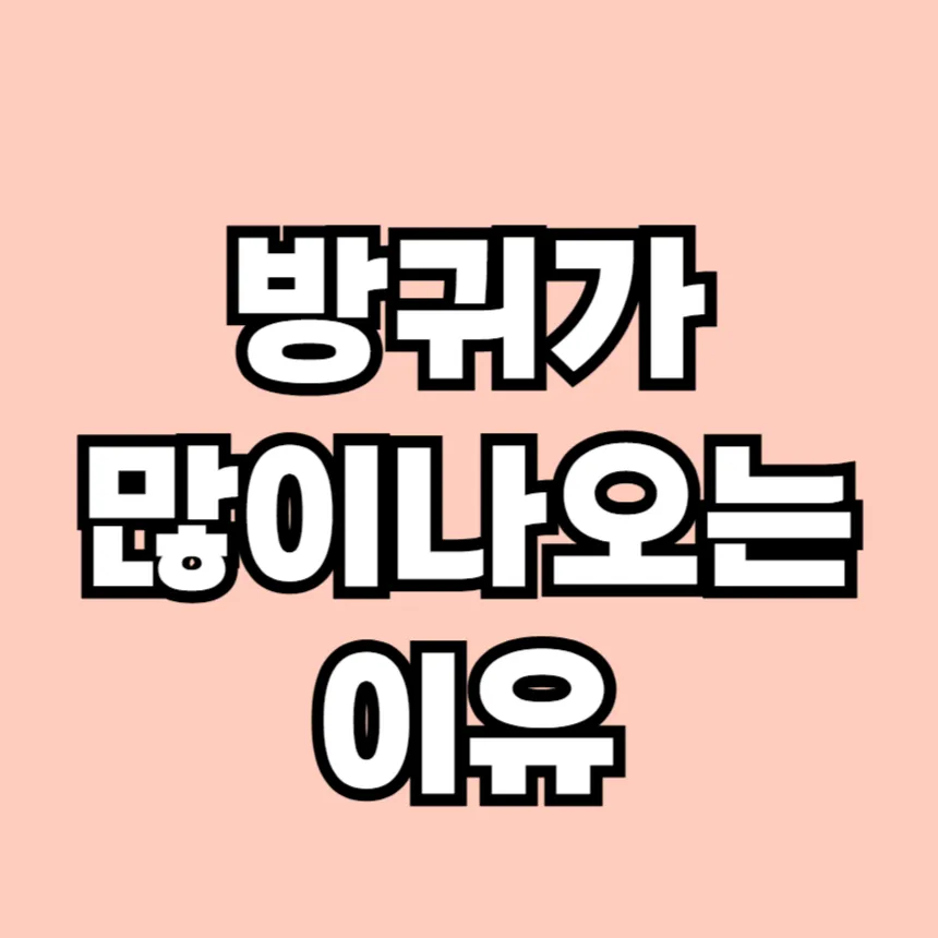 방귀가 많이 나오는 이유