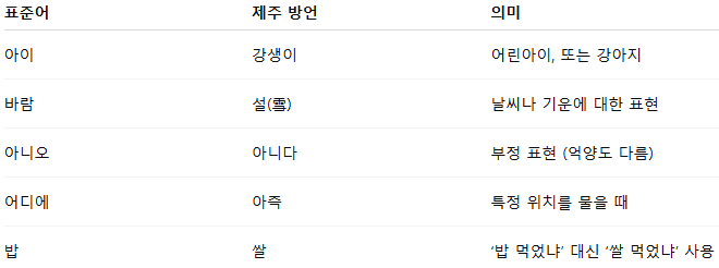 일상에서 자주 쓰이던 단어