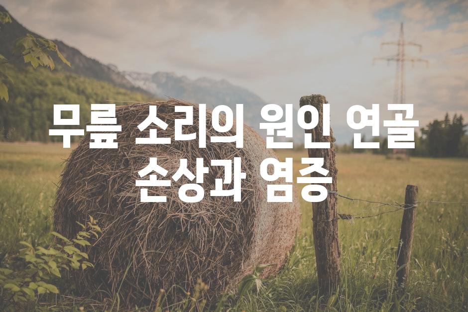 무릎 소리의 원인 연골 손상과 염증