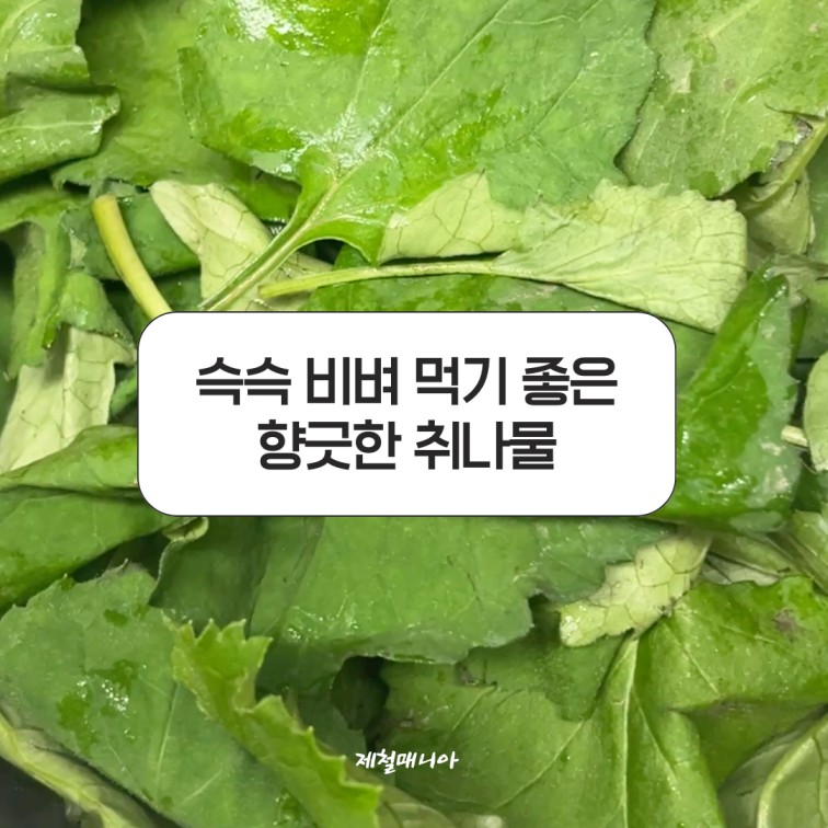 취나물