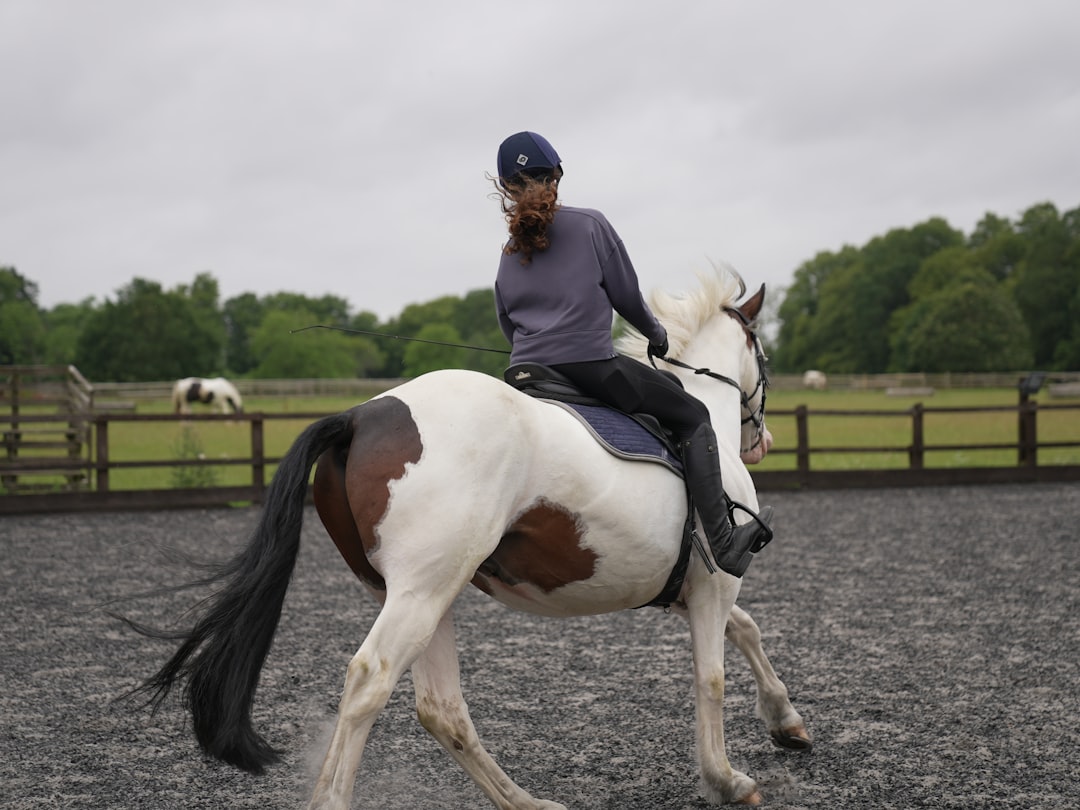 Trot