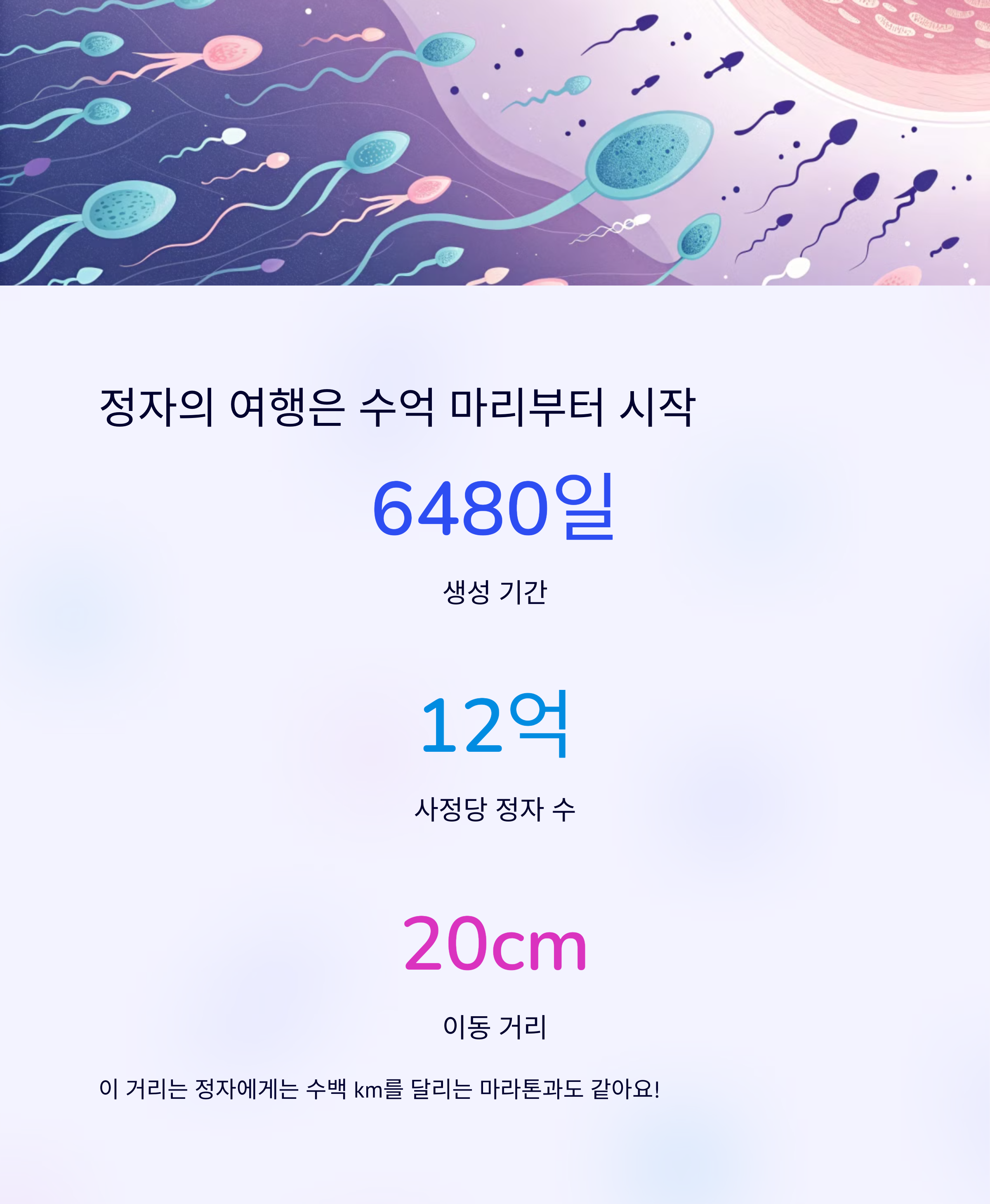 한 명만 살아남는다! 난자와 정자의 극한 여정-인포그래픽1