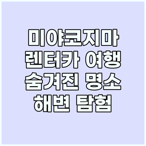 미야코지마 렌터카 가이드: 숨겨진 해..