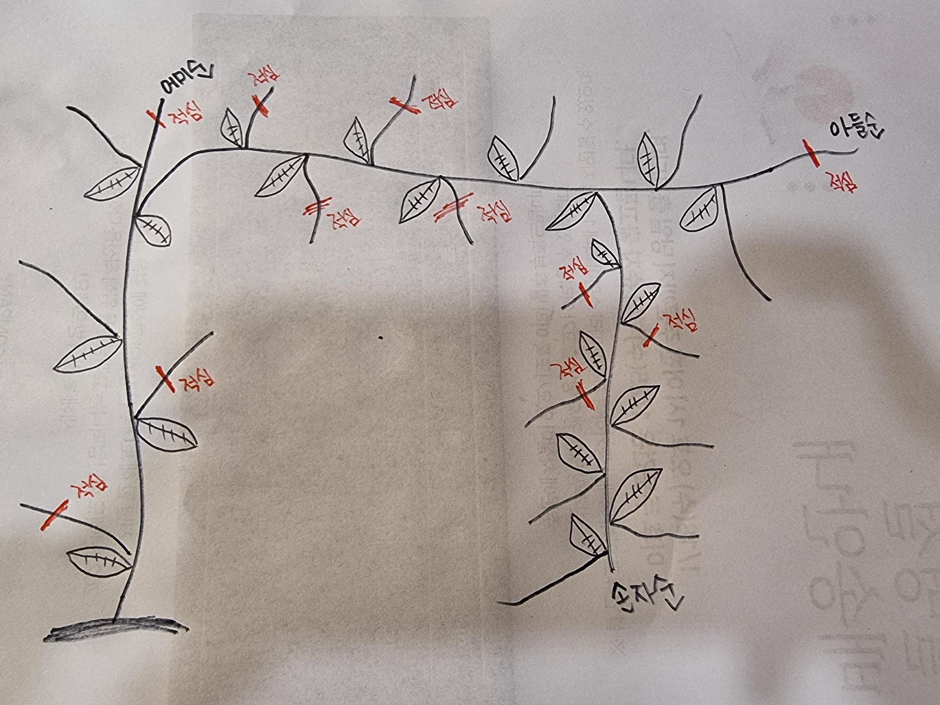 참외-순치기-방법