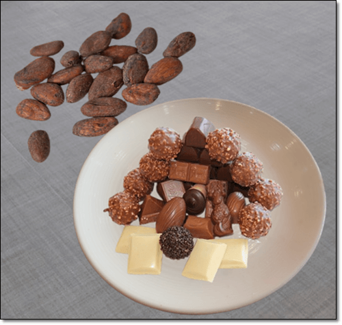 카카오빈과 카카오닙스 음식 