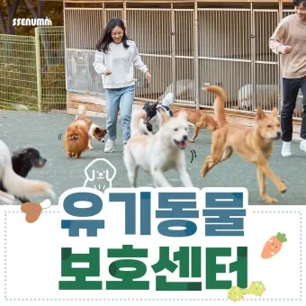 유기동물보호센터 갈 곳 잃은 천사들 희망 이야기_6