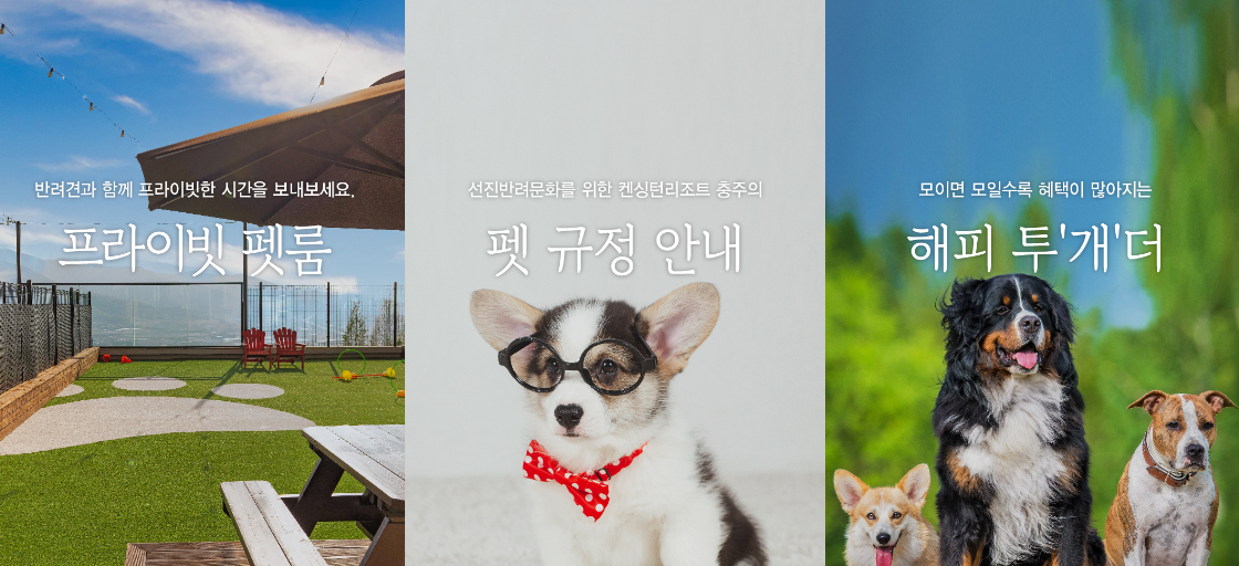 국내 온천 여행 9월 축제 추천 수안보 온천 축제 가을갈만한 곳