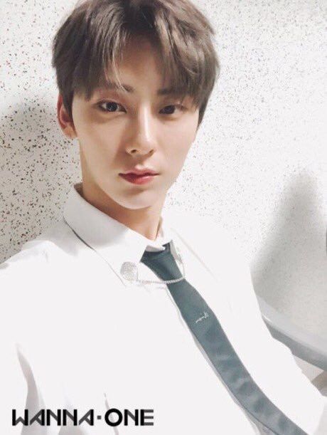 워너원 고화질 사진