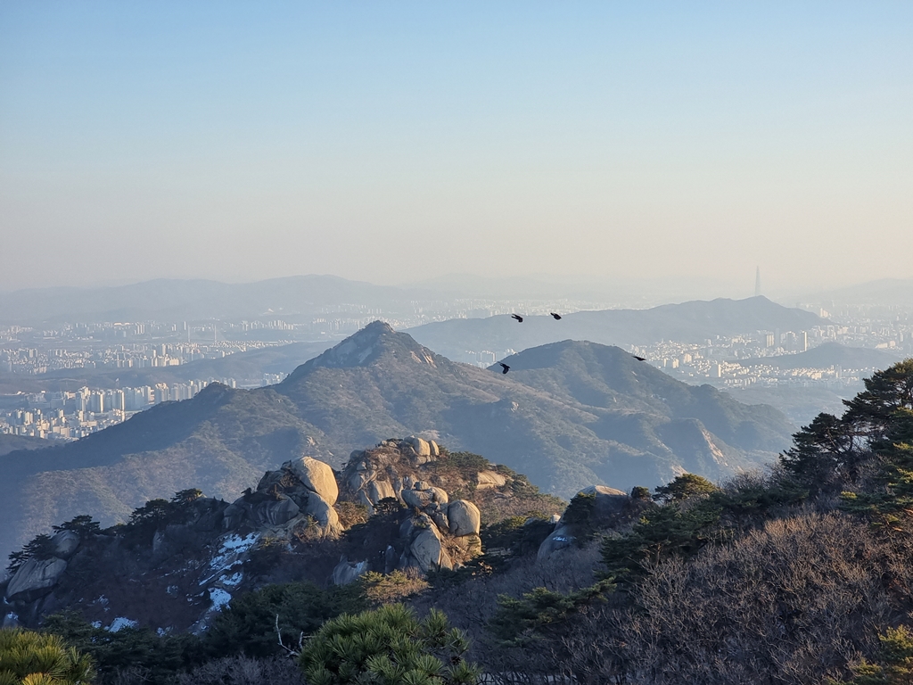 수락산에서 바라본 불암산