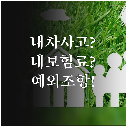 친구가 내 차 사고 내면 내 보험료 ..