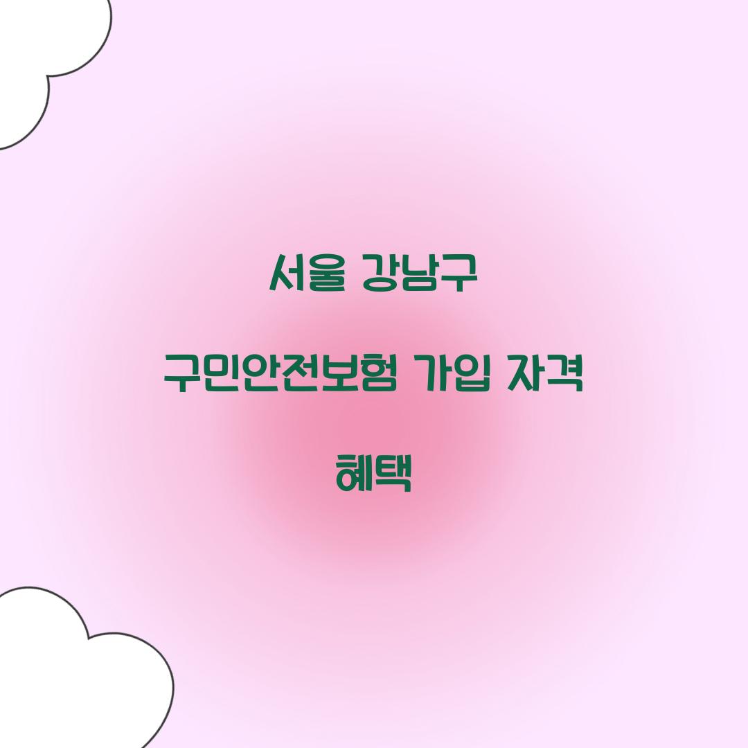 서울 강남구 구민안전보험