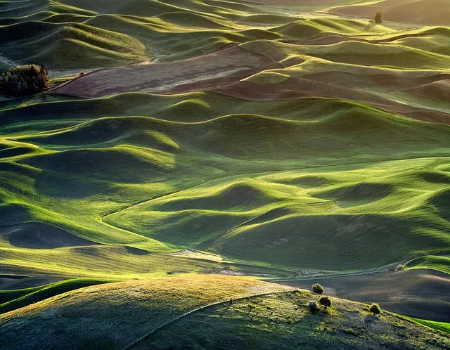 중부내륙고속도로 휴게소 순서 맛집 리스트 한눈에 정리_3