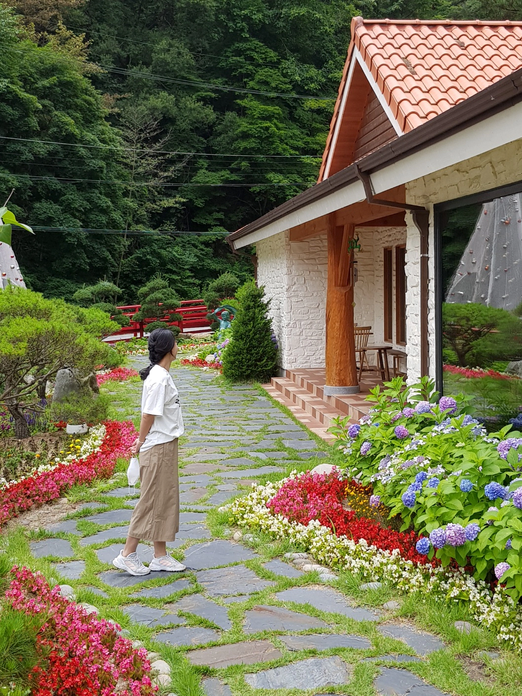 사진 찍기 좋은 정선 맛집. 카페 아라미스