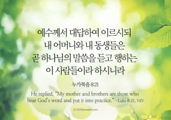 매일성경 묵상과 깨달음(누가복음 8장 1-15절) 씨 뿌리는 자의 비유 말씀_34