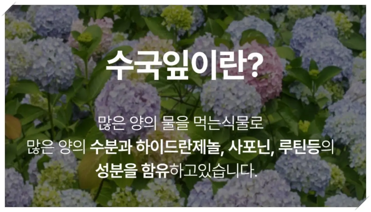 마이피트 디피트 효과