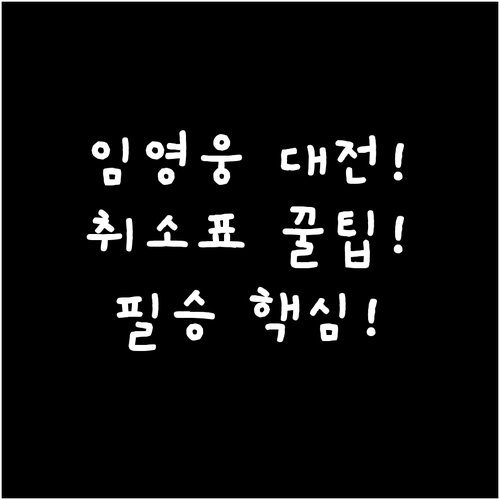 임영웅 2026 대전 콘서트, DCC..