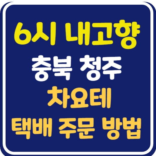 6시 내고향 청주 차요테 택배 주문 방법