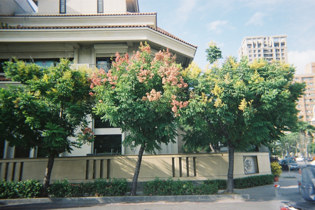 Embassy