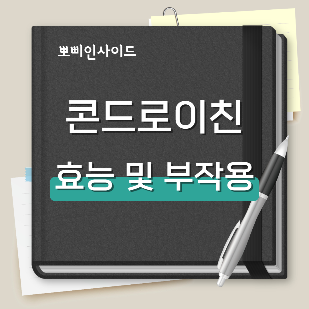 콘드로이친 효능 및 부작용