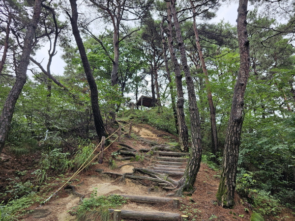 남원 가볼만한 곳- 애기봉에서 맨발걷기&amp;#44; 산책&amp;#44; 등산하세요