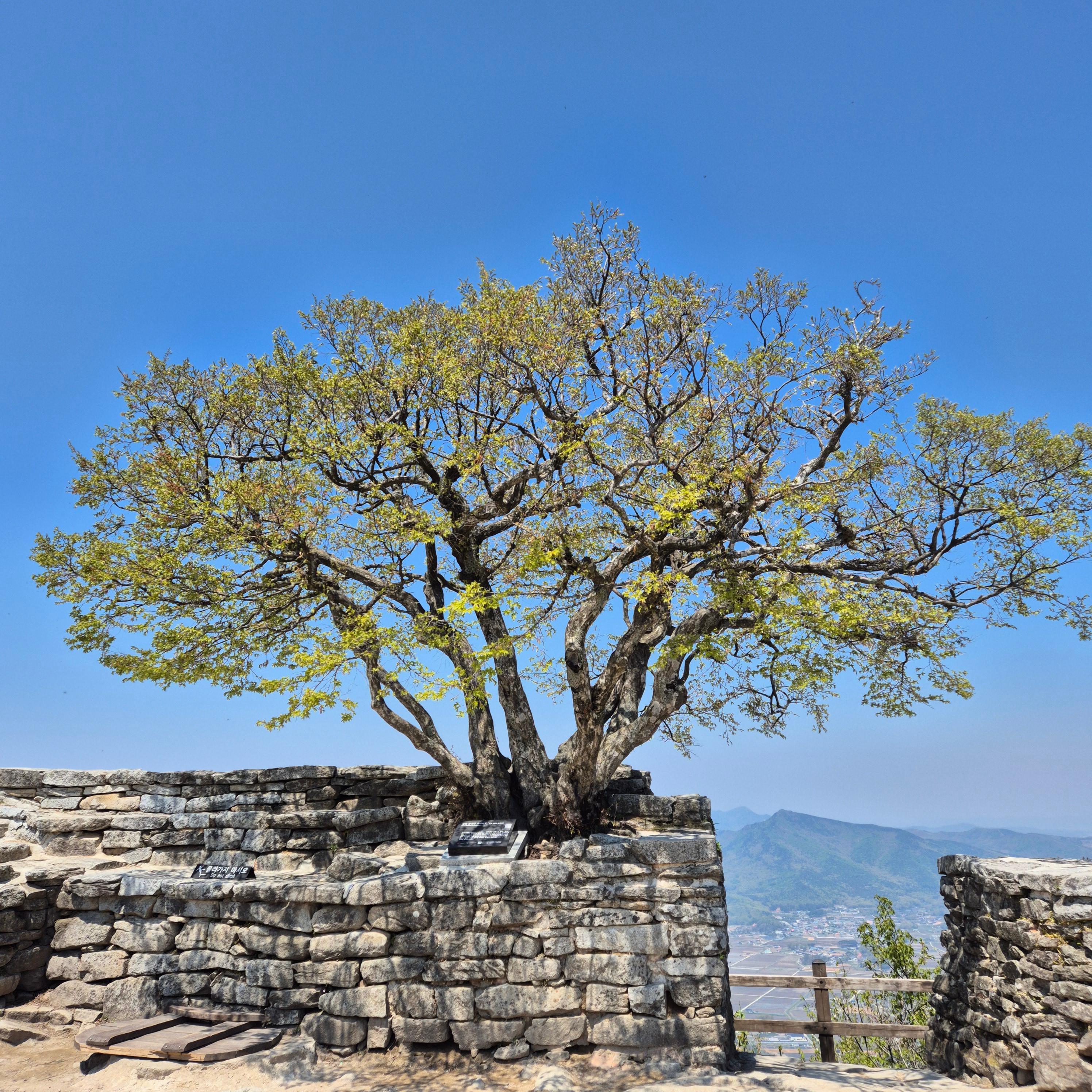 마니산 입장료, 마니산, 마니산 등산, 마니산 등산로, 강화도 마니산, 강화 마니산, 함허동천, 함허동천로, 마니산 함허동천로, 마니산 험허동천, 마니산 계곡로, 마니산 단군로, 마니산 주차장