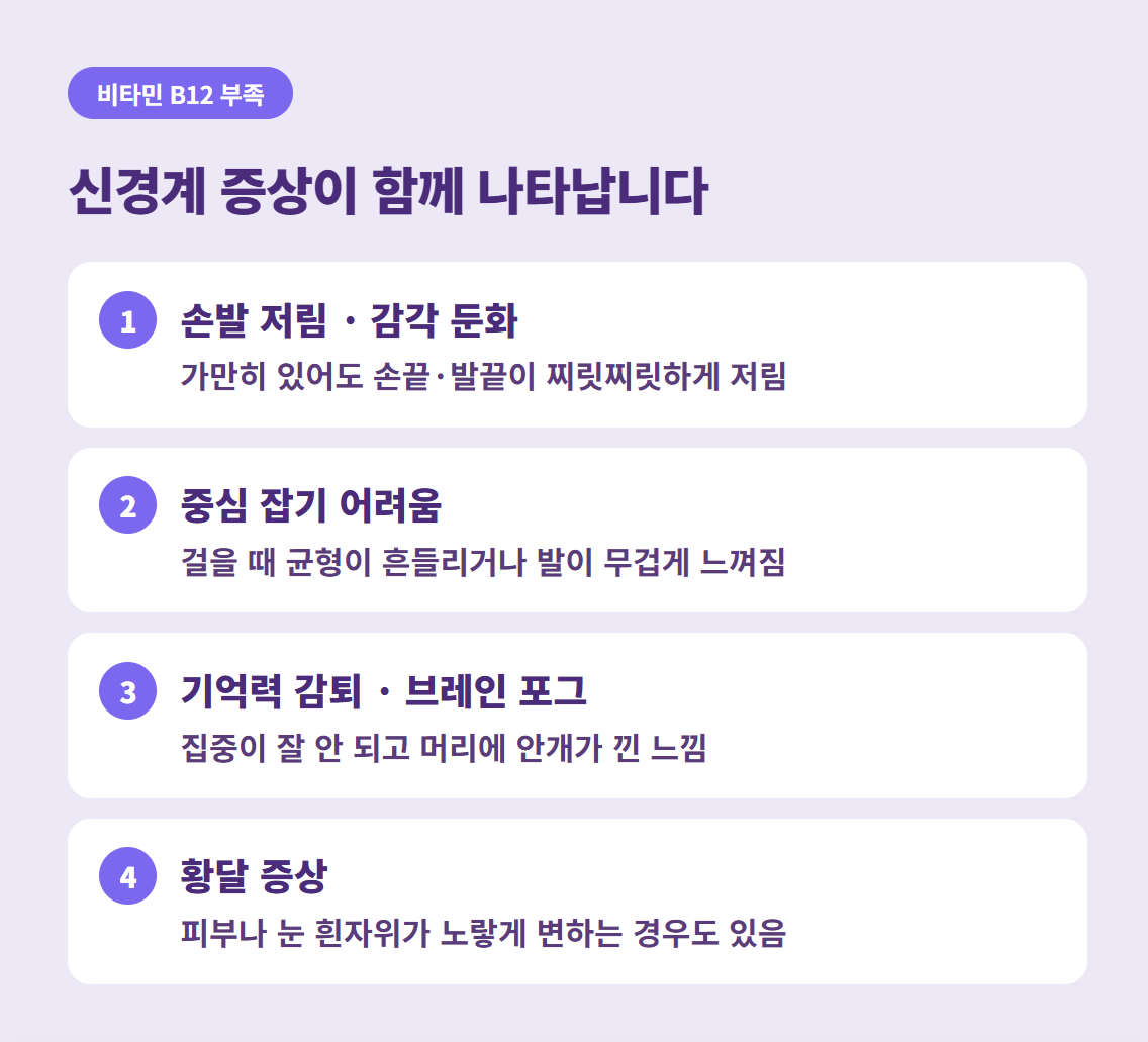 비타민 B12 결핍 시 나타나는 손발 저림, 기억력 감퇴, 브레인 포그, 황달 증상