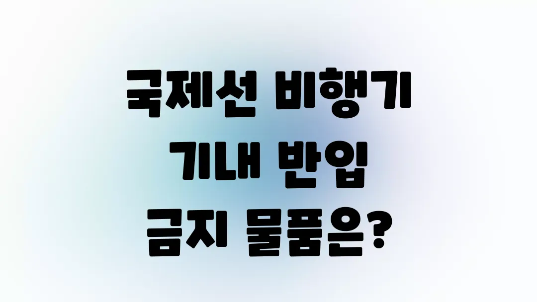 국제선 비행기 기내 반입 금지 물품 총정리(+앱, 웹사이트 추천)